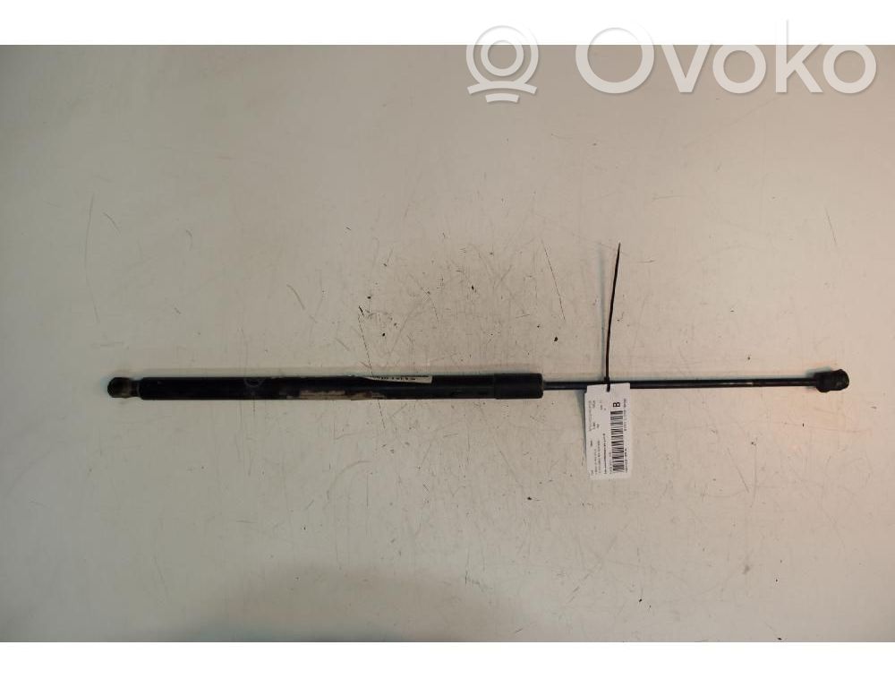 Tailgate/trunk strut/damper