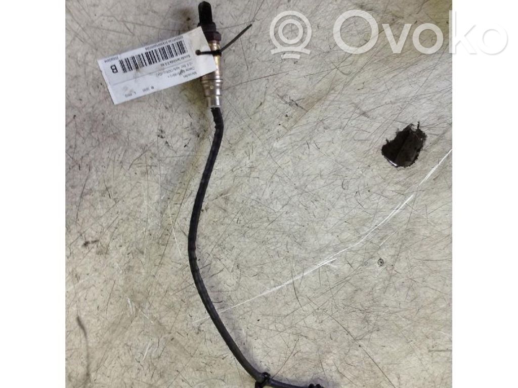 Sonde lambda