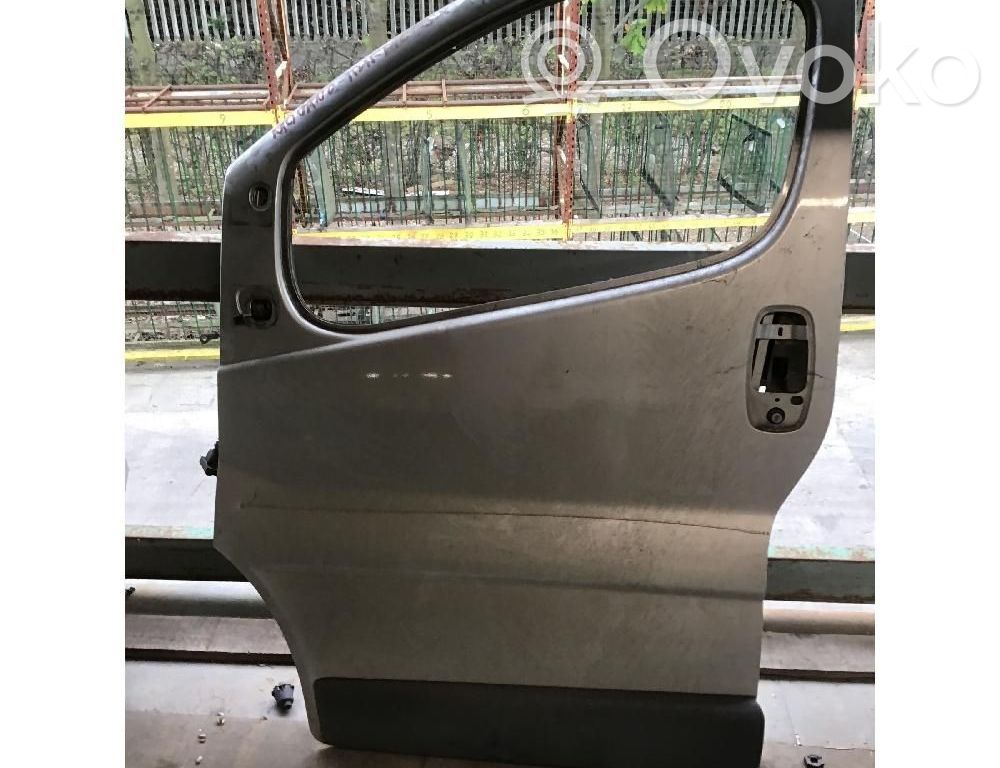 Tür vorne   8010100Q0C