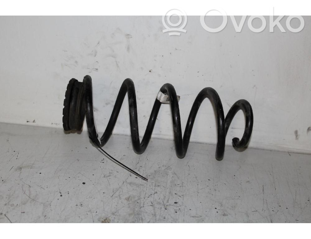 Muelle espiral trasero