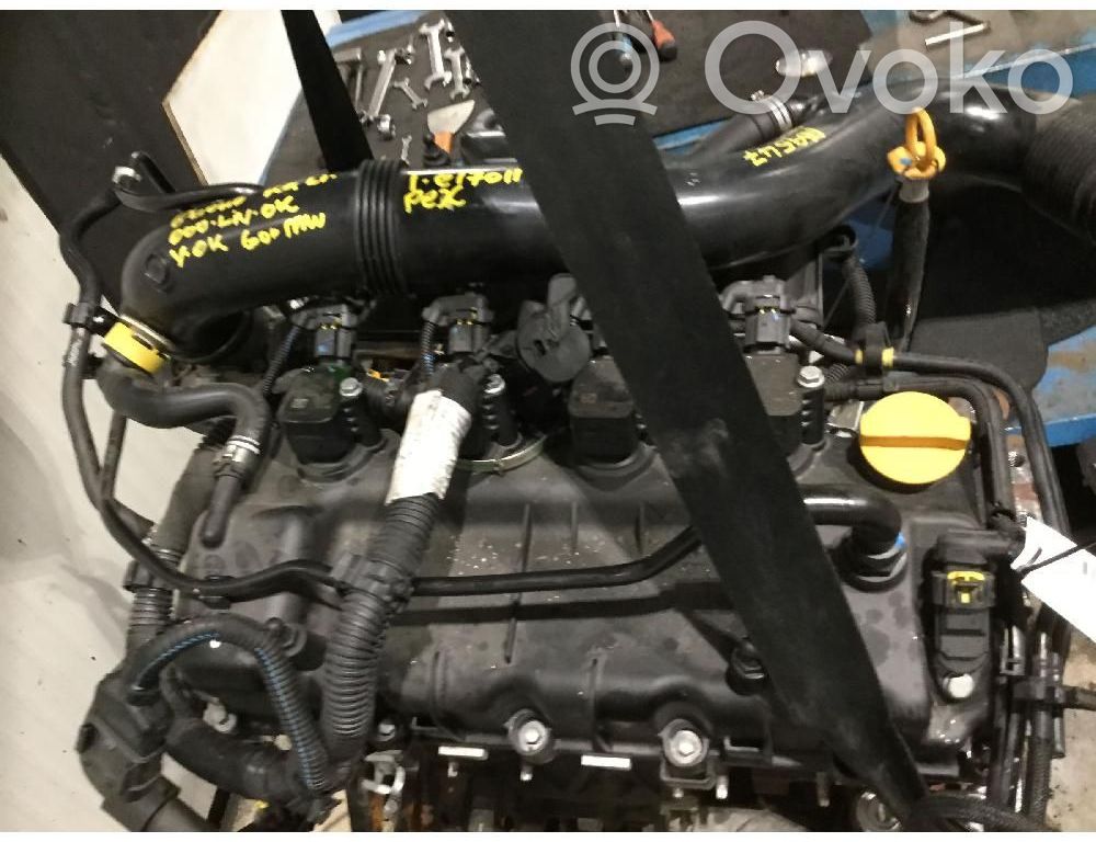 Engine   55268036
