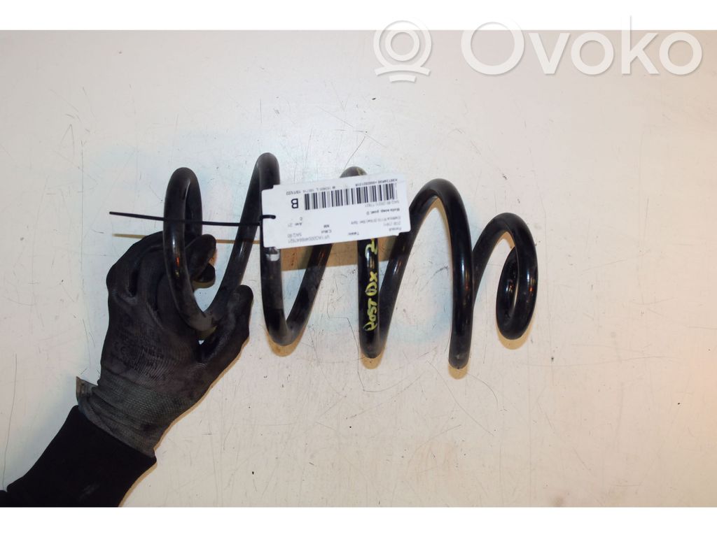 Renault Zoe Arc elicoidal spate 