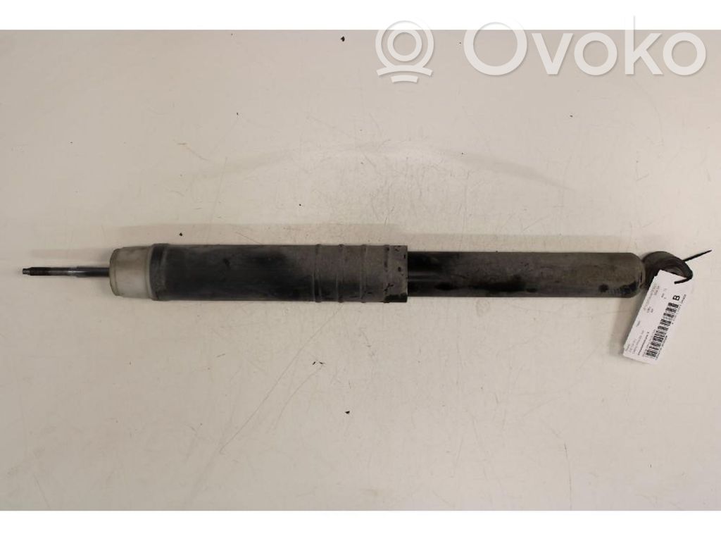 Renault Zoe Amortizor spate 