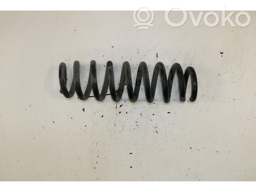 Muelle espiral trasero