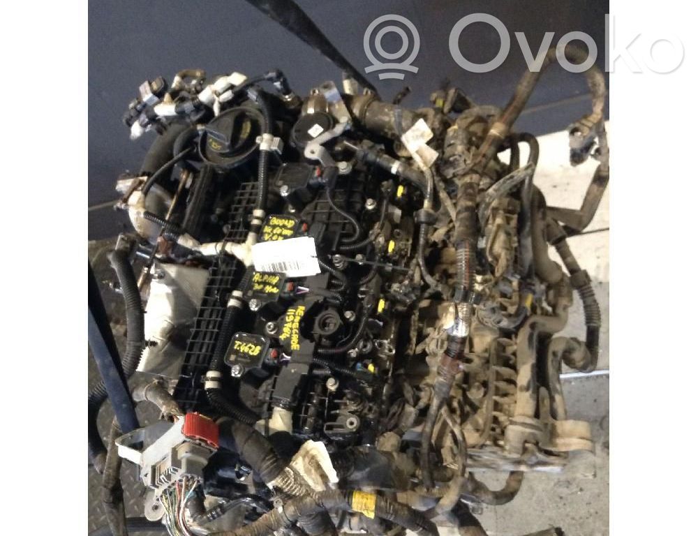 Motor   55282328