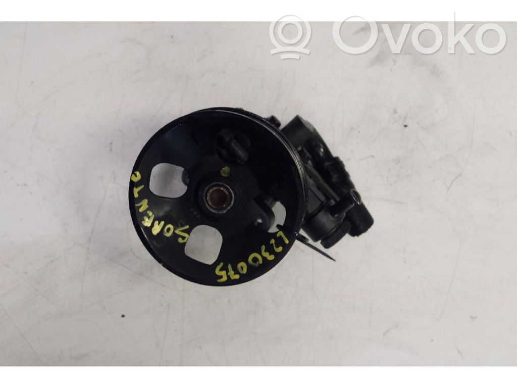 Pompe direction assistée   NONRILEVATO