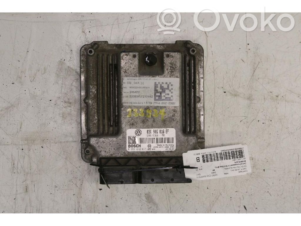 Volkswagen Golf Plus Unité / module de commande d'injection de carburant 