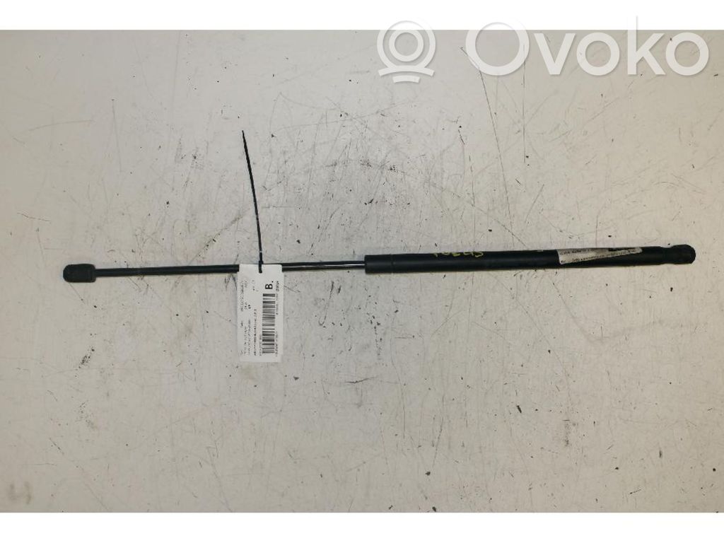 Ford Focus Rear window strut damper 