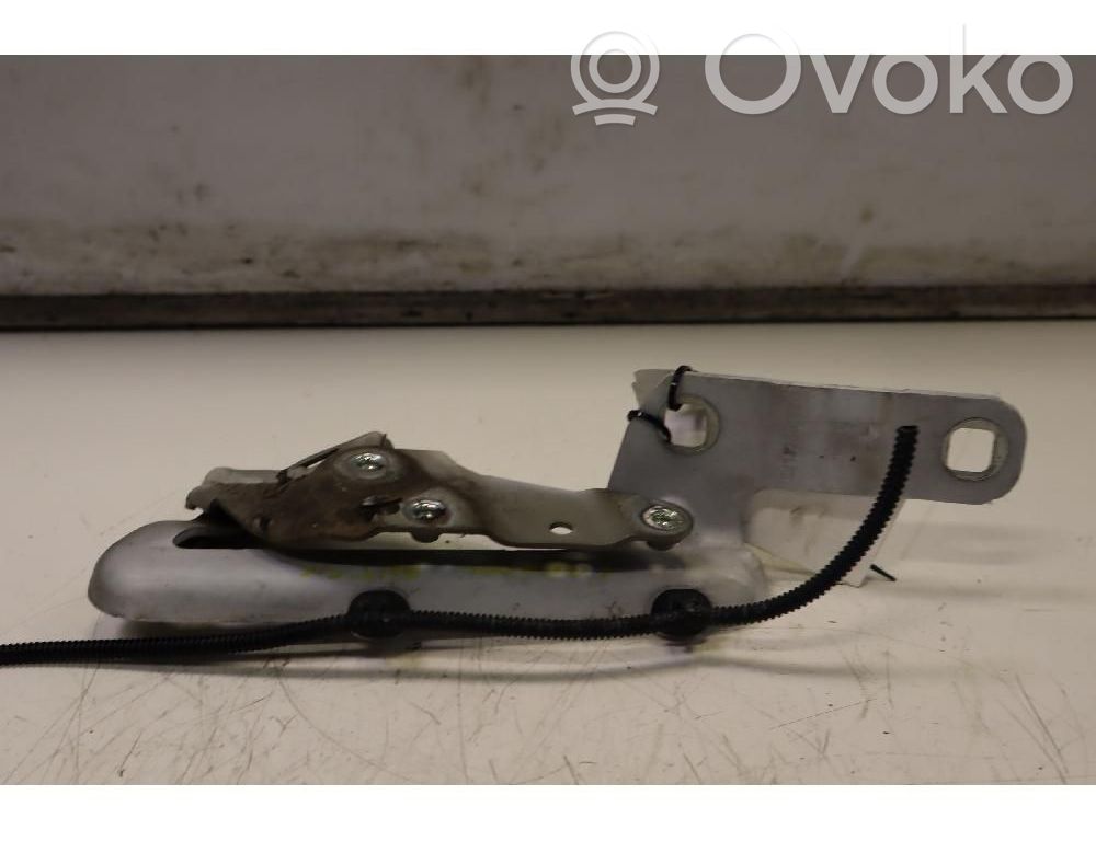 Opel Meriva B Cerniere del vano motore/cofano