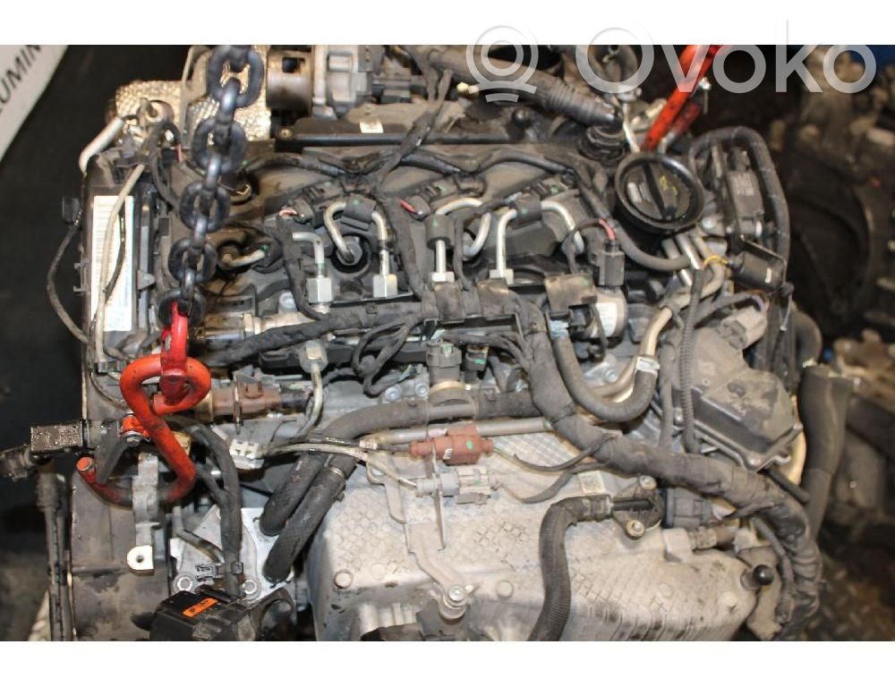 Motor   DFB