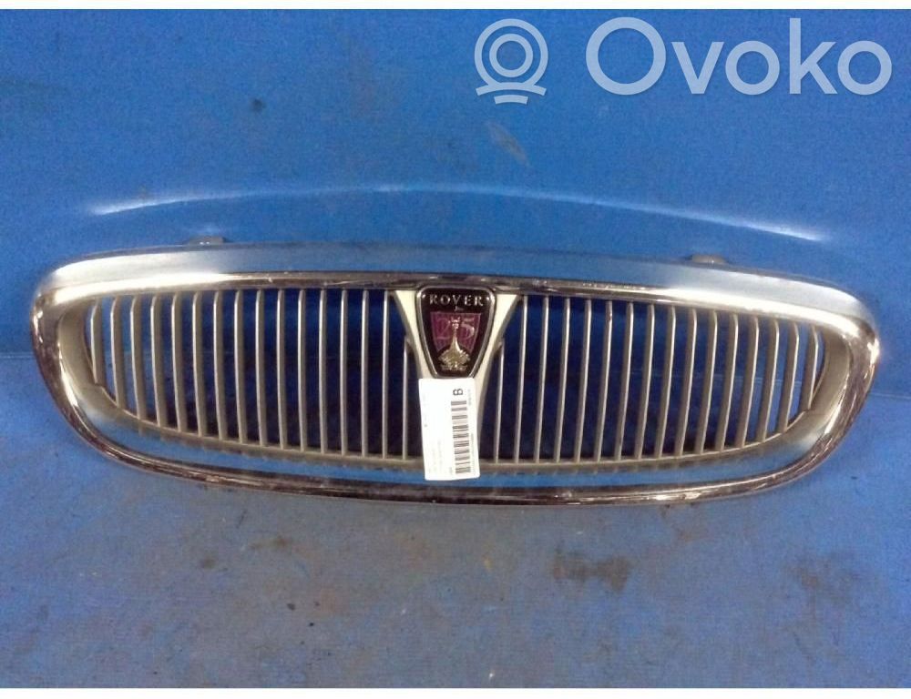 Atrapa chłodnicy / Grill