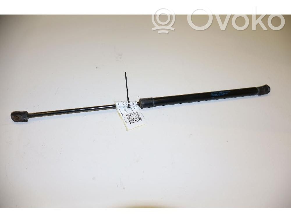 Amortizor hayon   6309200XKZ16A