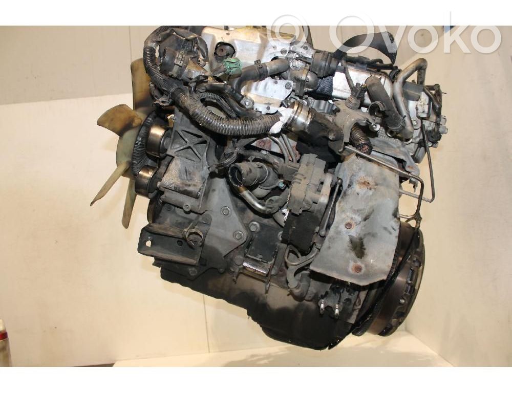 Motor   YD25