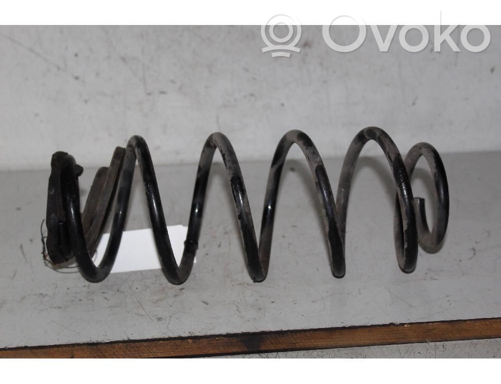 Muelle espiral trasero