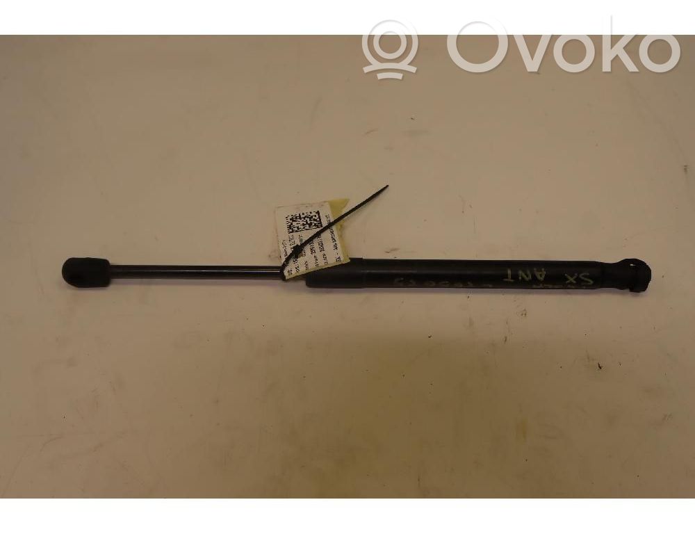 Tesla Model 3 Ammortizzatore portellone anteriore/cofano