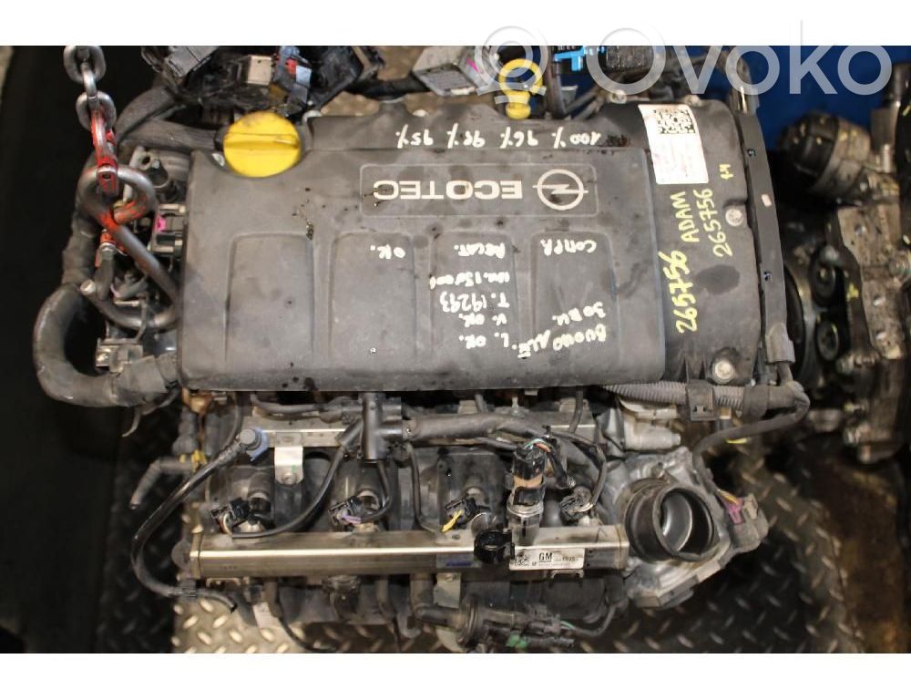 Motor   B14XER