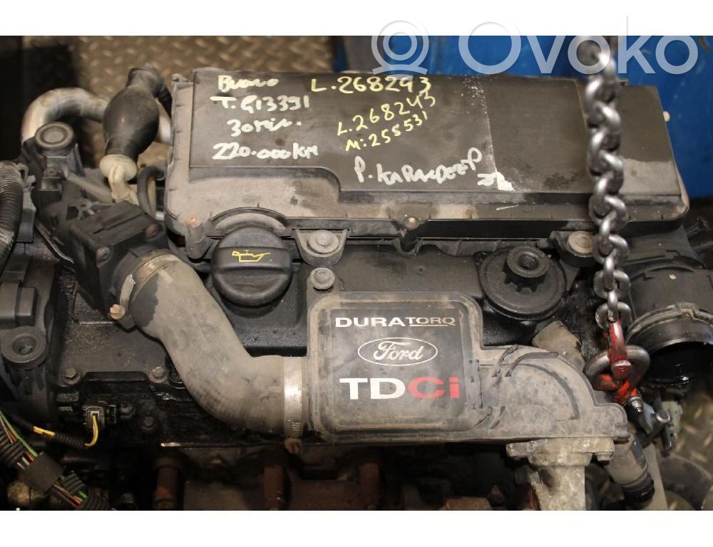 Ford Fusion Motor 