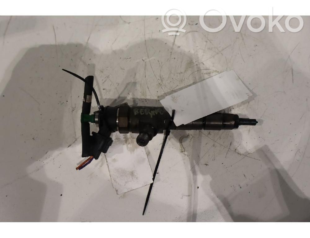 Citroen Berlingo Injector combustibil