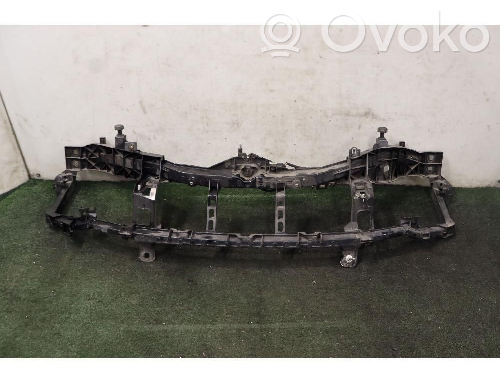Radiatoru panelis   1671607