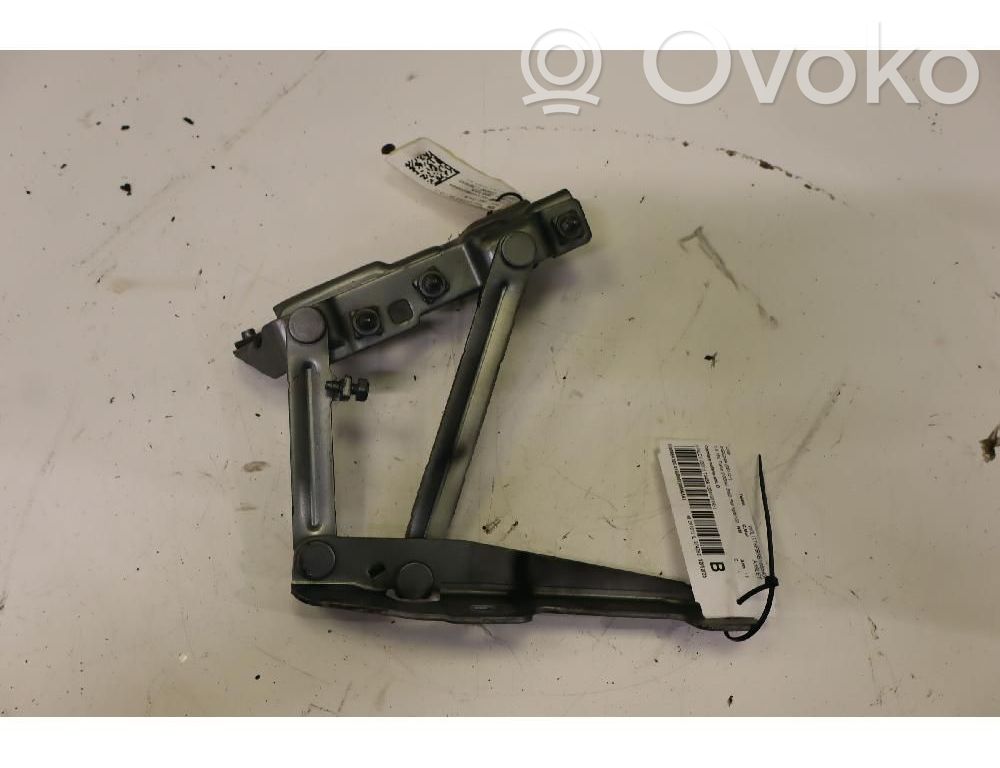 Opel Insignia A Cerniere del vano motore/cofano 