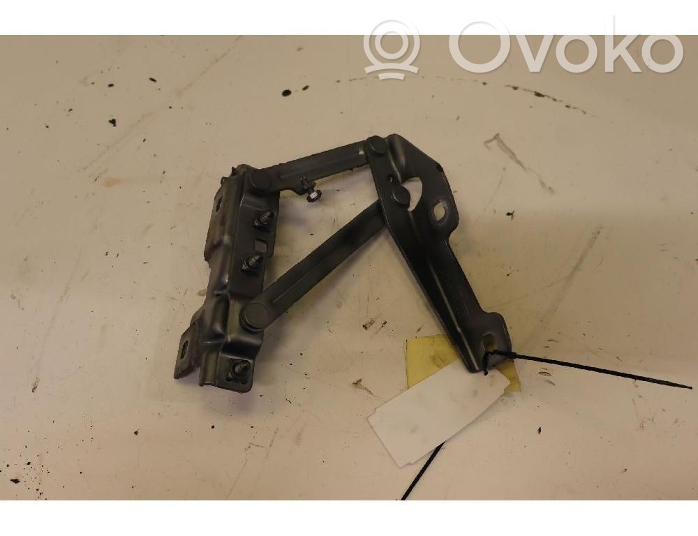 Opel Insignia A Cerniere del vano motore/cofano 