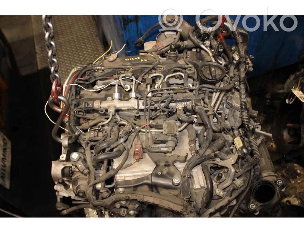 Motor   CSU