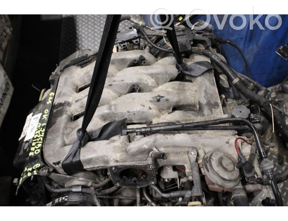 Ford Cougar Motor 