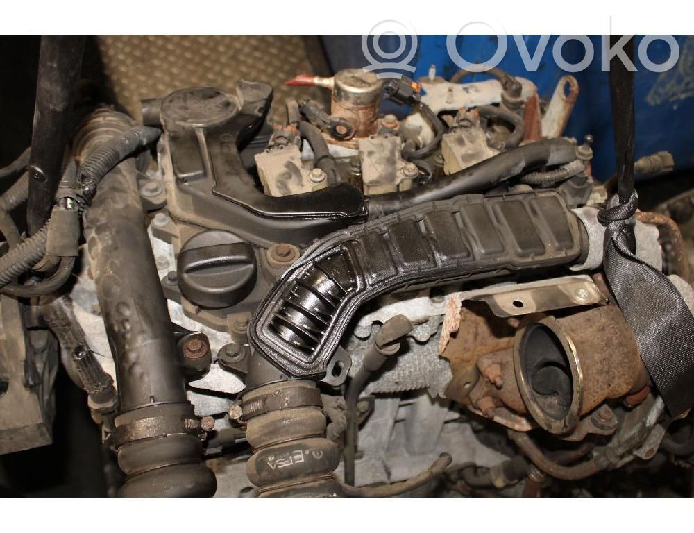 Motor   HN08