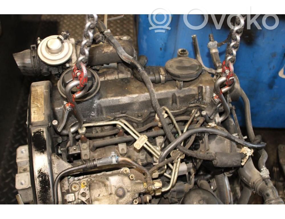 Motore   ASV
