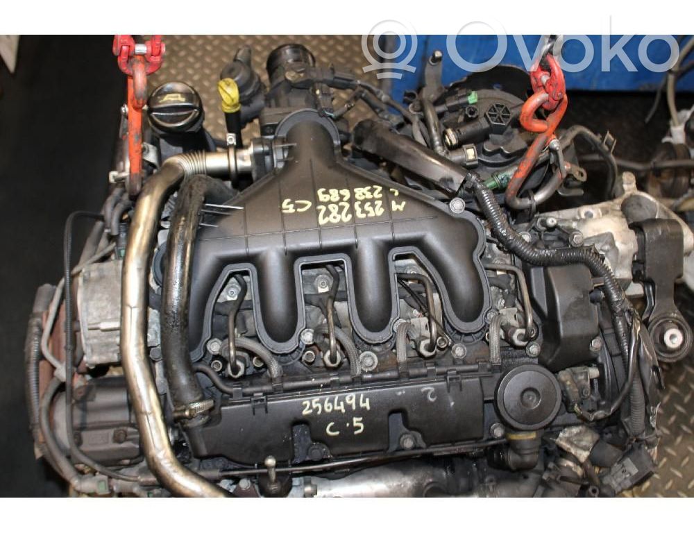 Citroen C5 Motore