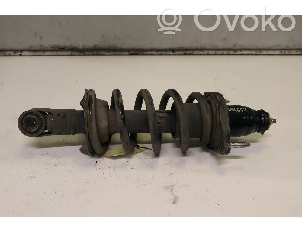 Stoßdämpfer hinten