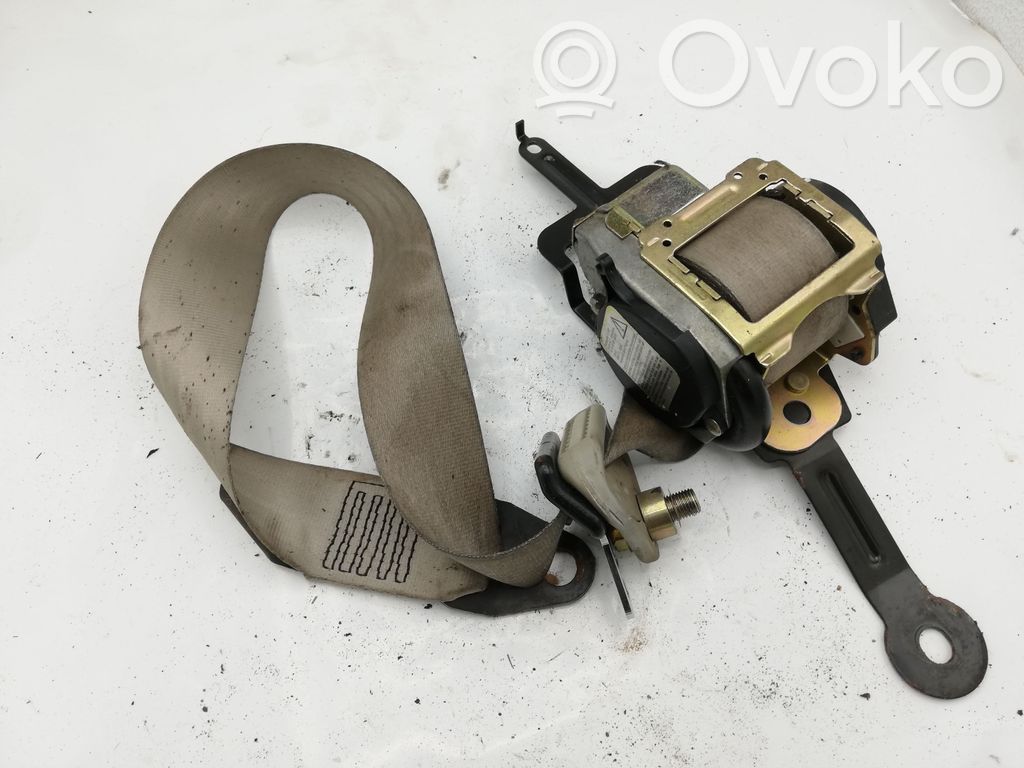 Cinturón delantero   E904167064,E9047064