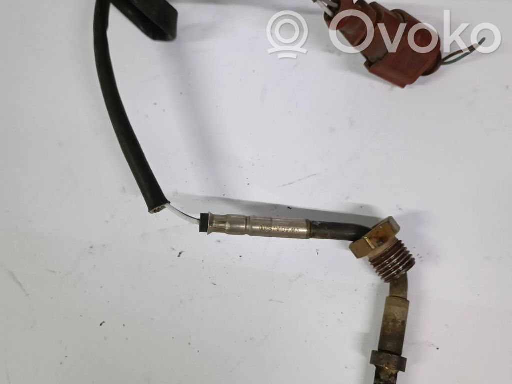 Volkswagen PASSAT B6 Išmetamųjų dujų temperatūros daviklis 