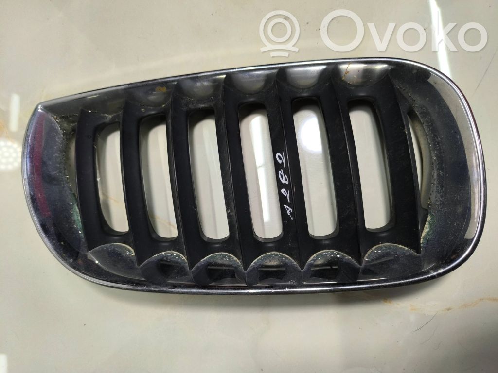 BMW X3 E83 Front grill 