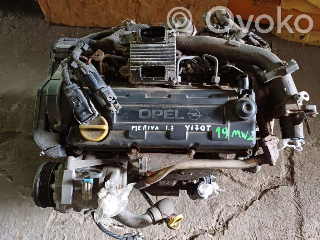 Motor   Y17DT