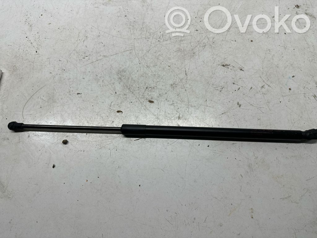Mazda 2 Tailgate strut 