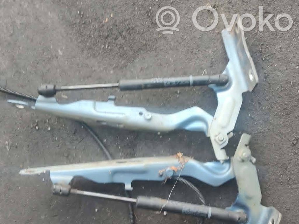 Engine bonnet/hood hinges
