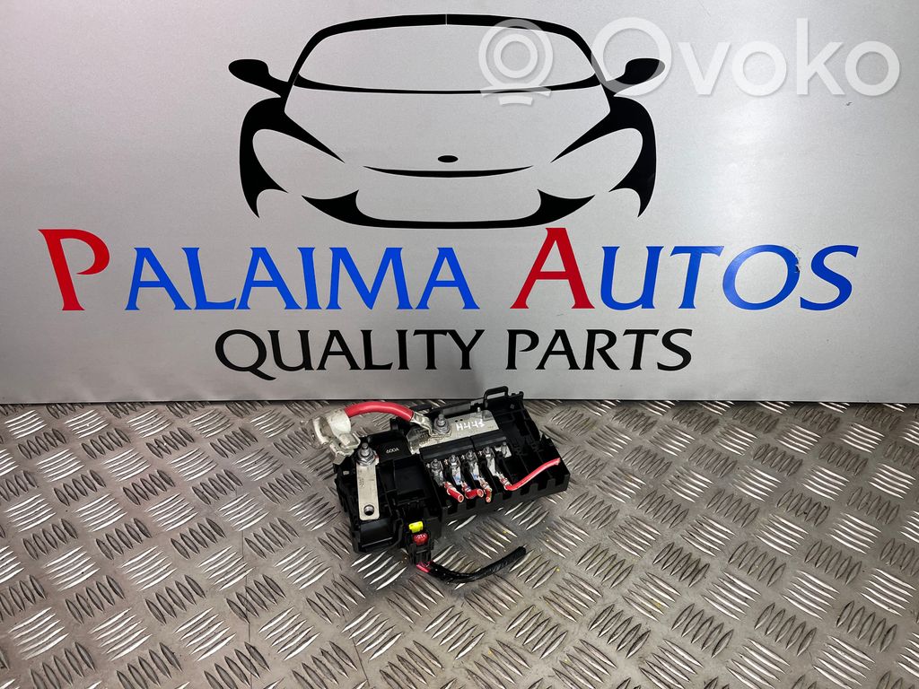 Plus-Kabelbaum   39023242