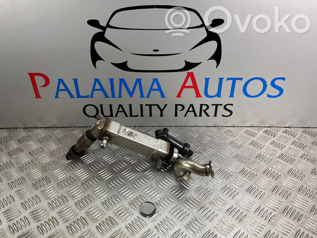 EGR valve cooler   7790065