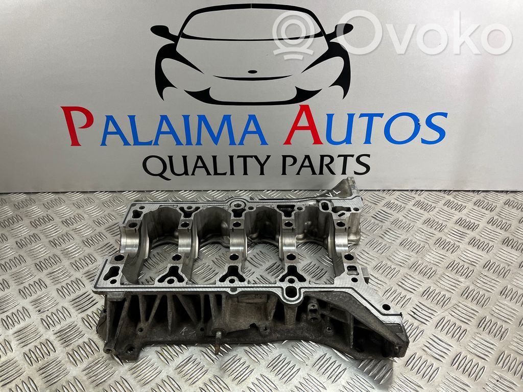 Engine block   55569916GC