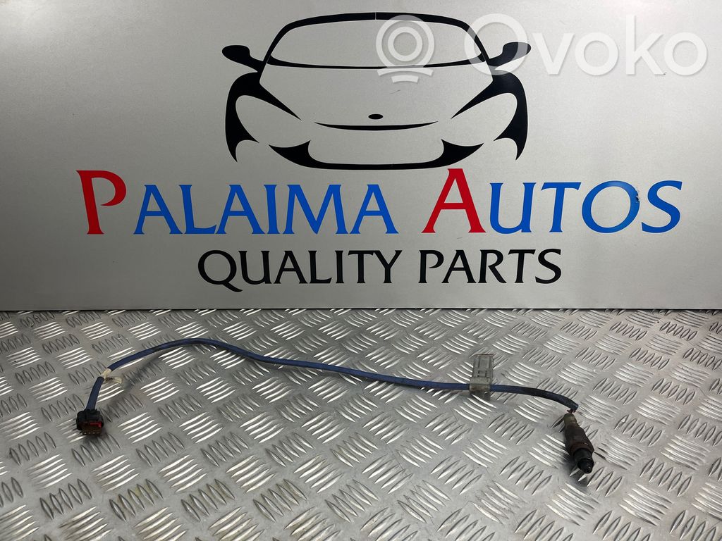 Sonde lambda   F1FA9G444BA