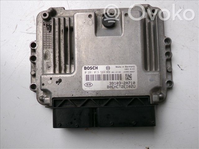 Unidad de control/módulo ECU del motor   0281013569