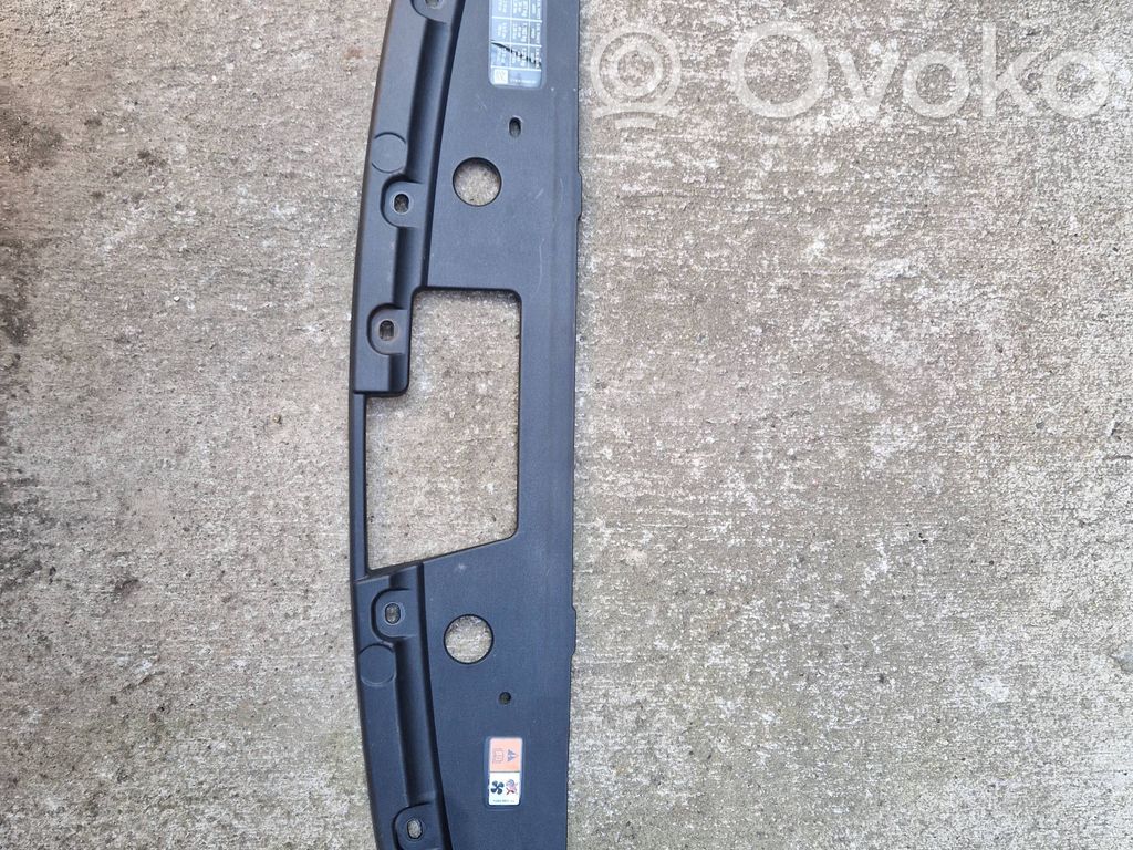 Radiator trim   FB538A164ACW