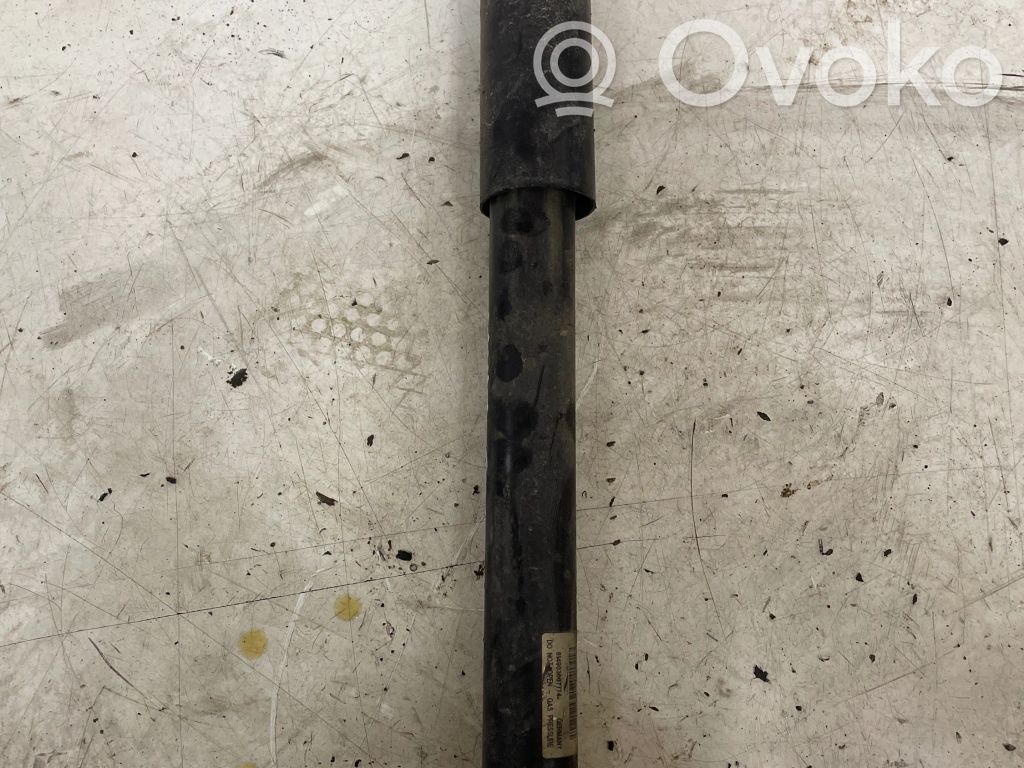 BMW X1 E84 Rear shock absorber/damper 