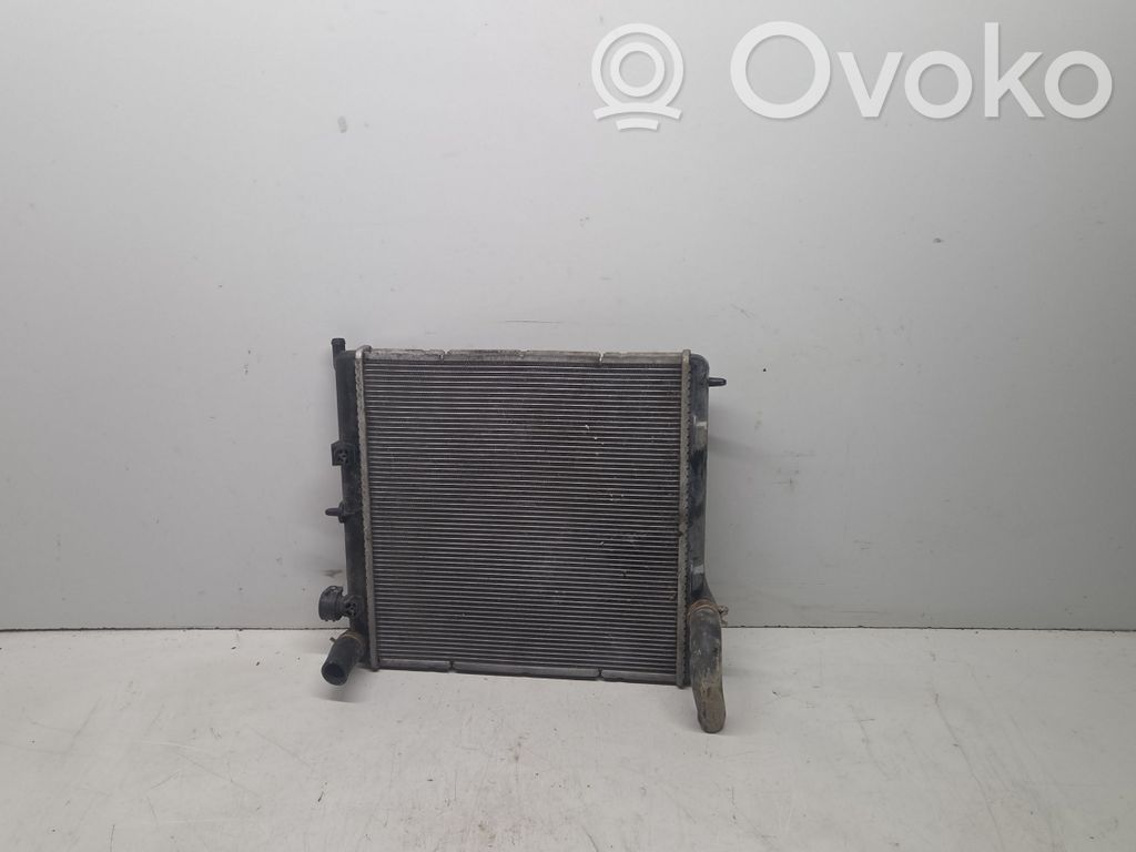 Peugeot 207 Coolant radiator 