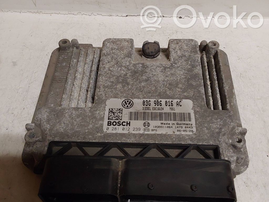 Engine control unit/module ECU   03G906016AC,1039S11064,012239