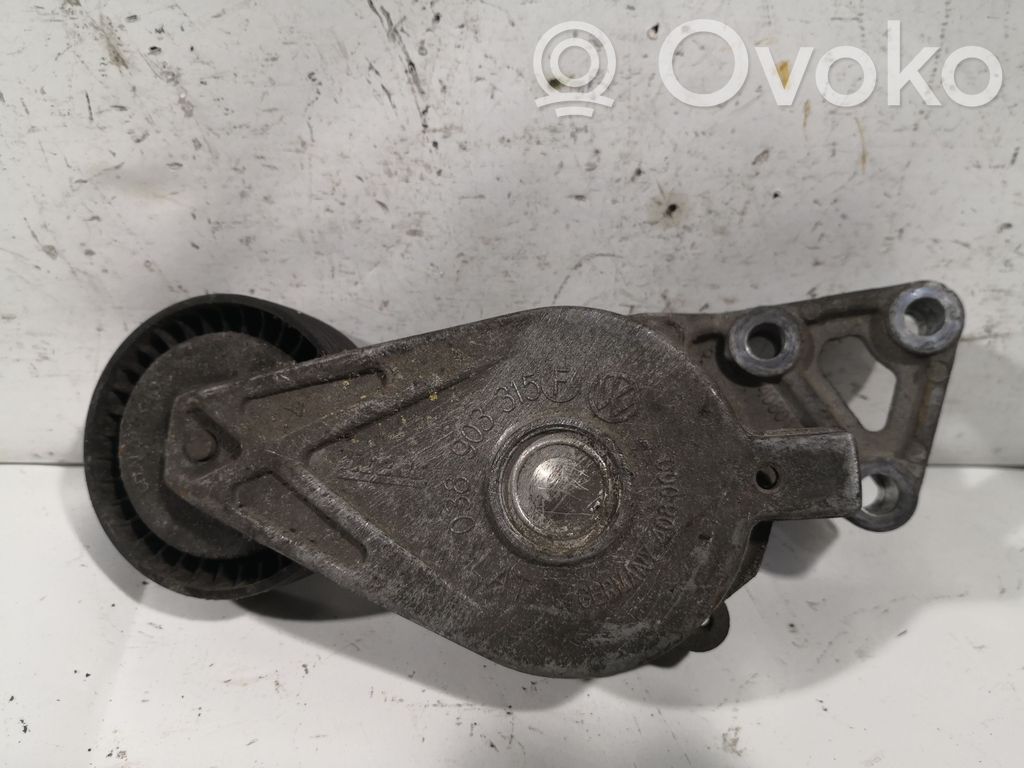 Audi A6 S6 C5 4B Diržo įtempėjas 