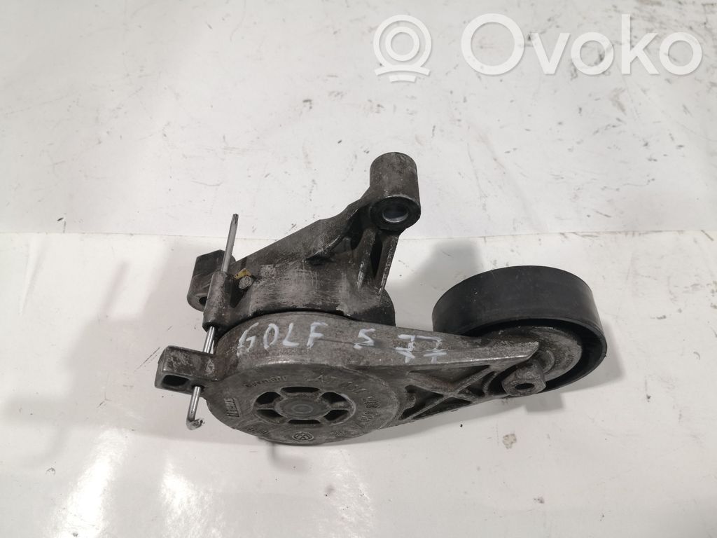 Volkswagen Golf V Napinacz paska alternatora 
