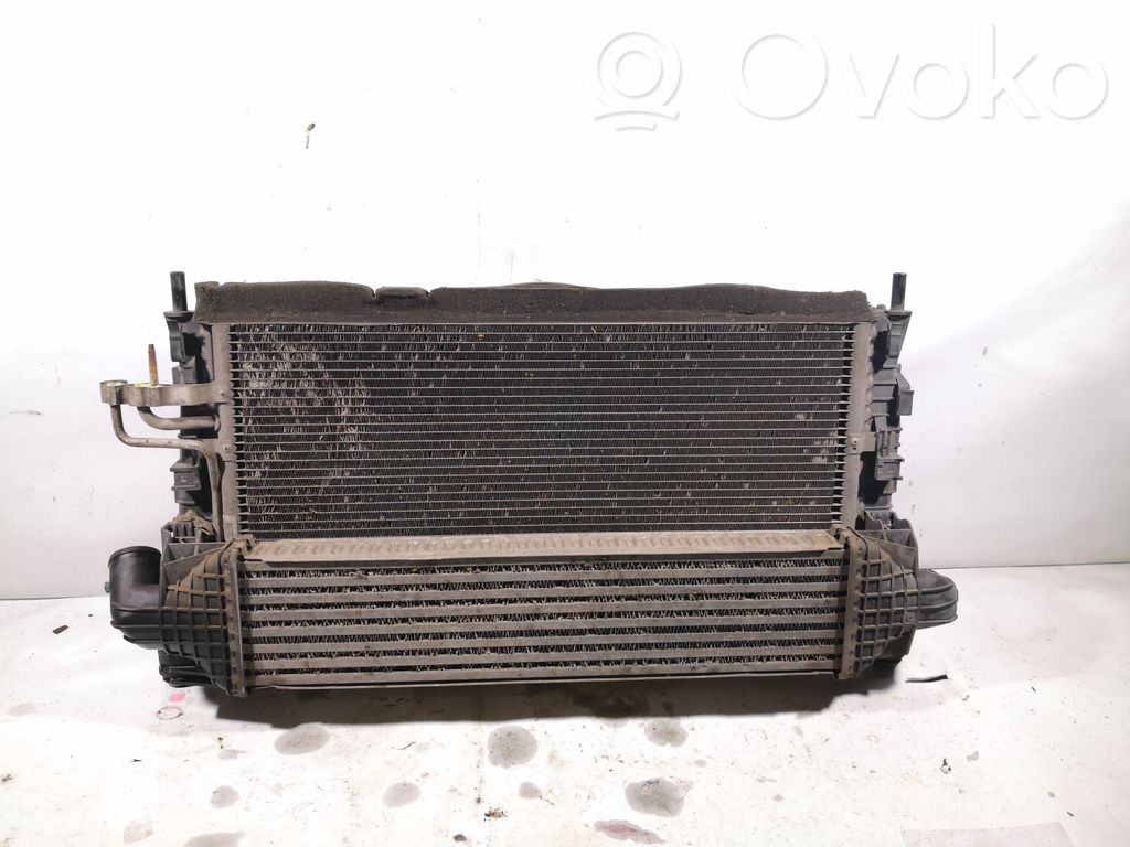 Ford Focus Radiator set 
