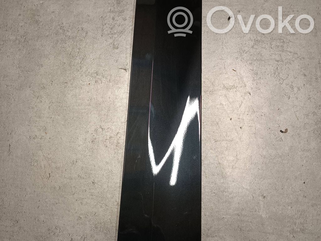 BMW iX Rear door trim (molding) 